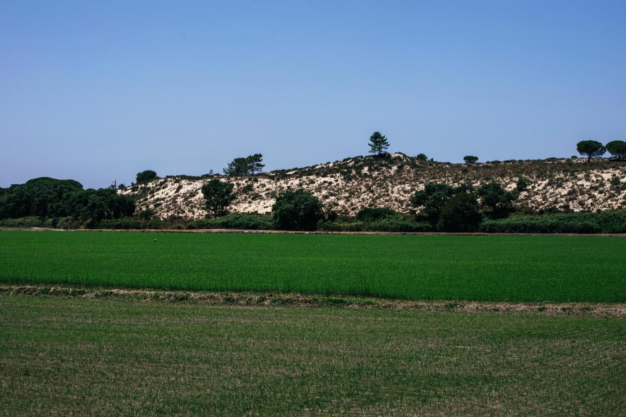 Herdade De Montalvo - Comporta Luaran gambar