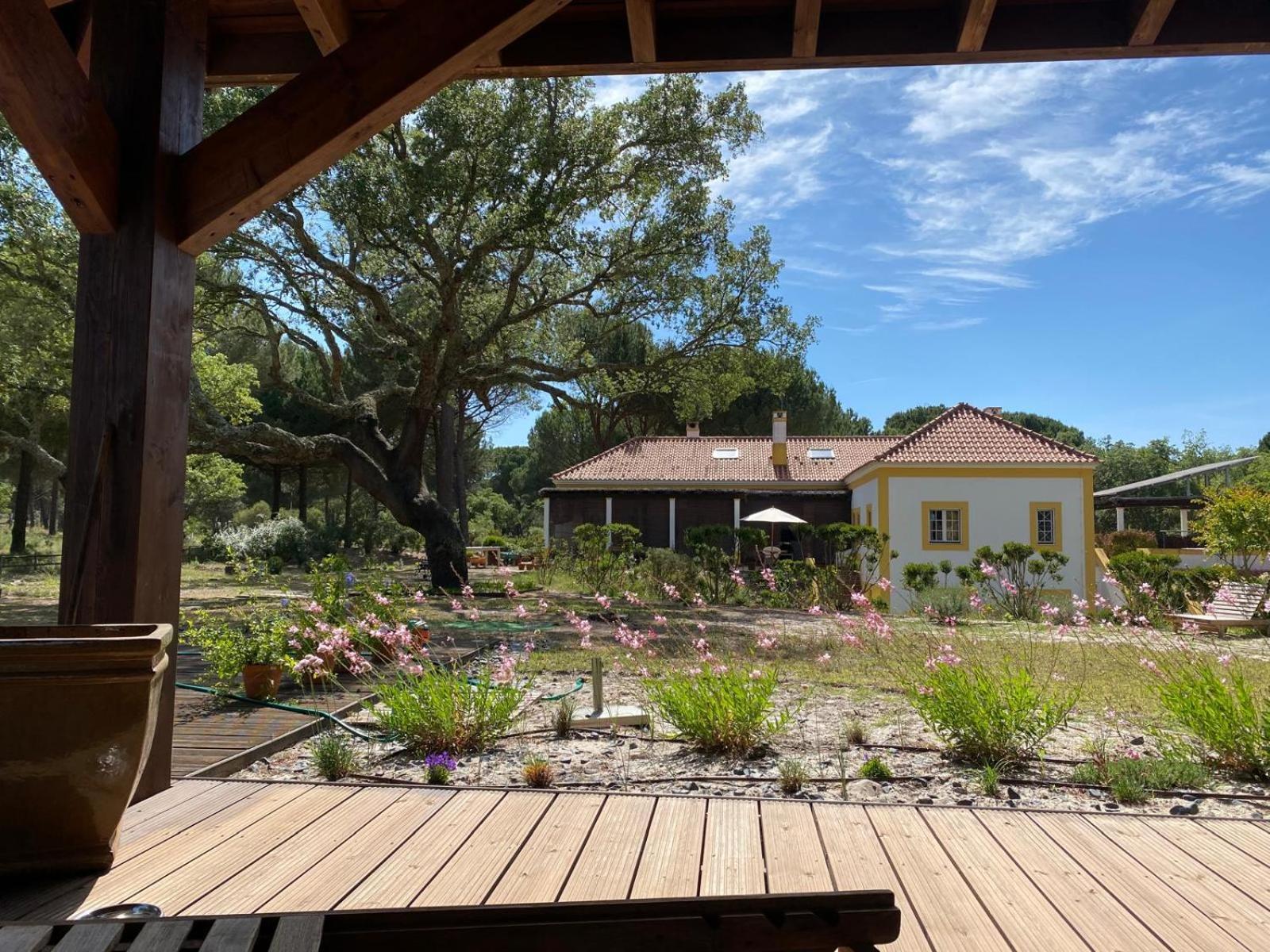 Herdade De Montalvo - Comporta Luaran gambar