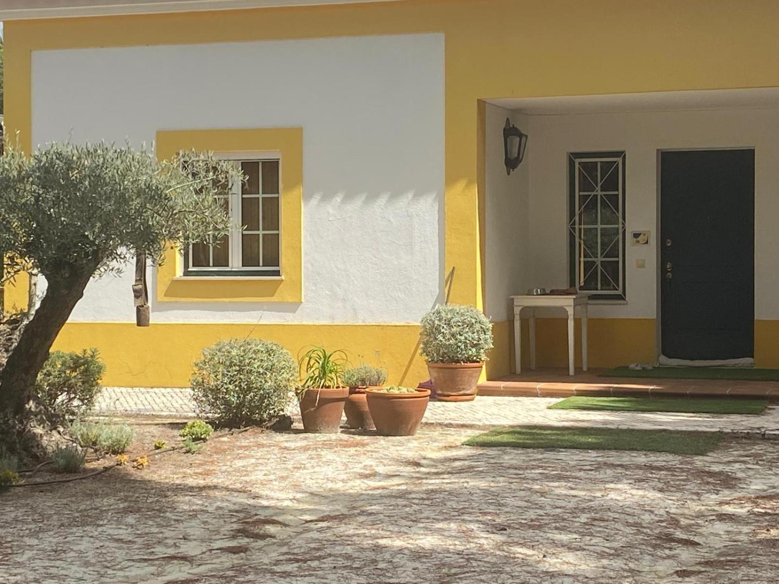 Herdade De Montalvo - Comporta Luaran gambar